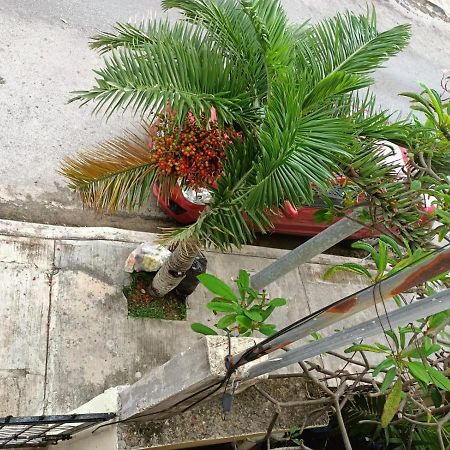Apartament Colibri Playa del Carmen Zewnętrze zdjęcie